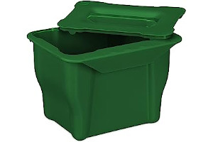 61m+nbBpVPL._AC_UL320_